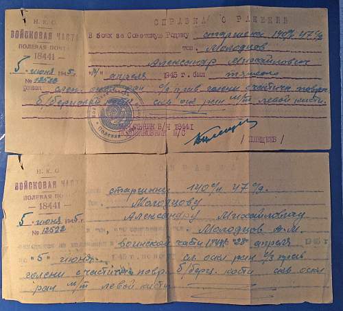 Soldier's 1945 wound documents-translation help needed