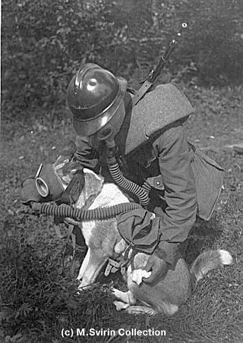 Red Army Soldiers wearing gas masks: anyone have photos?