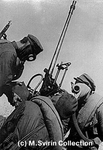 Red Army Soldiers wearing gas masks: anyone have photos?