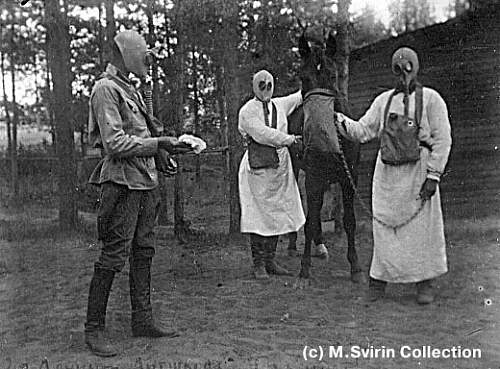 Red Army Soldiers wearing gas masks: anyone have photos?