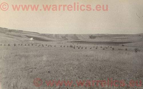 Eastern front in pictures- enemy side pictures