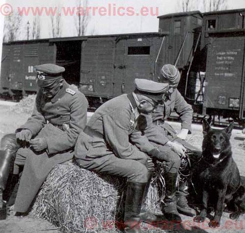 Eastern front in pictures- enemy side pictures