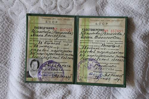 Ukrainian Partisan documents group