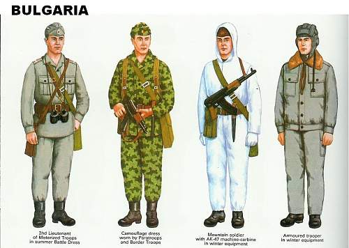 Bulgarian Soldier 1970's era Display for opinions