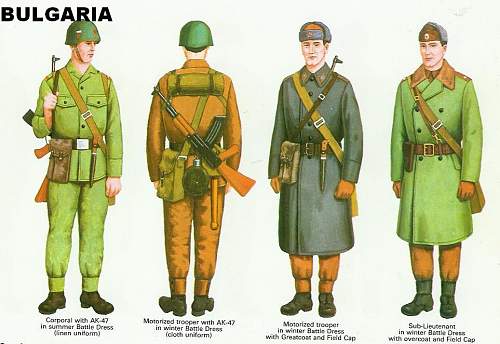 Bulgarian Soldier 1970's era Display for opinions