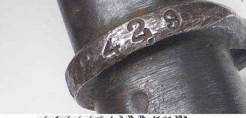 bayonet label