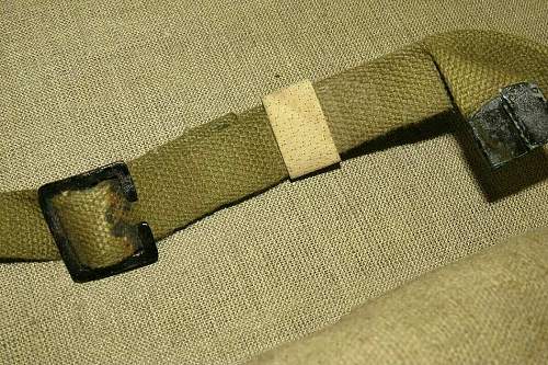 Equipment strap - unknown type to me