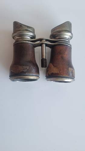 Unidentified binoculars?