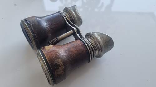 Unidentified binoculars?