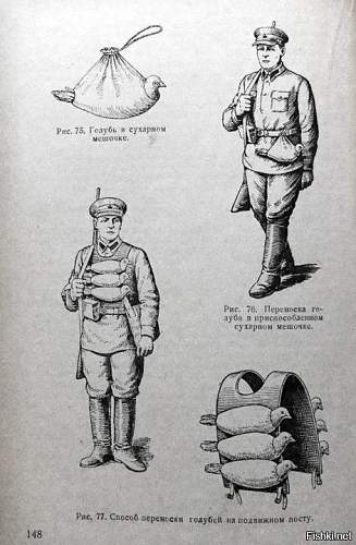 Equipment for transport of birds