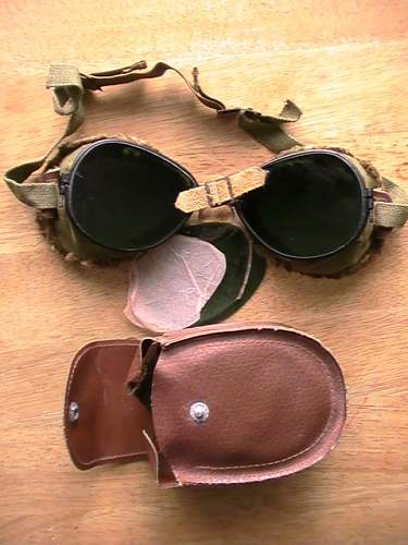 US mountian troop goggles