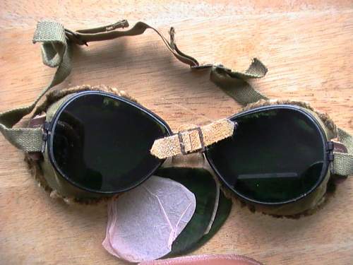 US mountian troop goggles