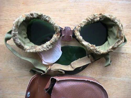 US mountian troop goggles