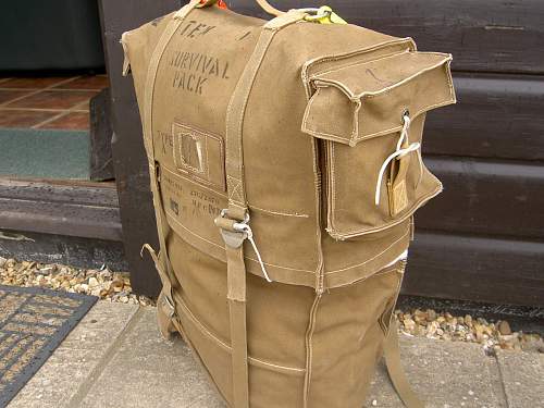 Aircraft survival bag