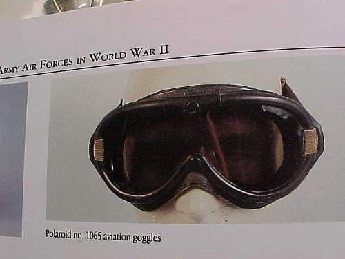 US army goggles ???