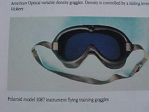 US army goggles ???