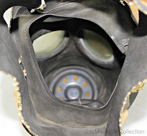 WW2 British Dog Respirator/Gas Mask