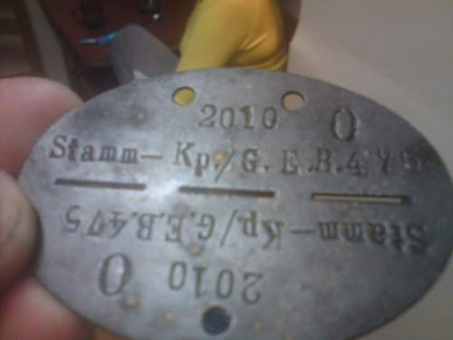 Identification of dog tag