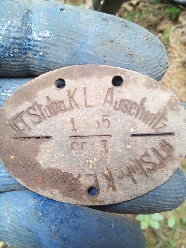 Ground Dug SS dog tag - Original?