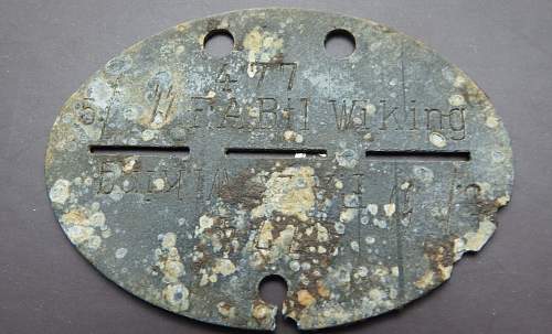 Wiking Dog Tag