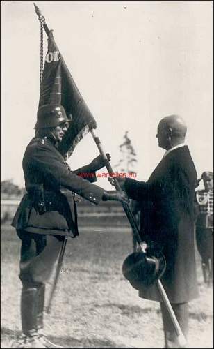 Helmets in Estonian Army- period pictures