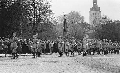 Independence march in Reval