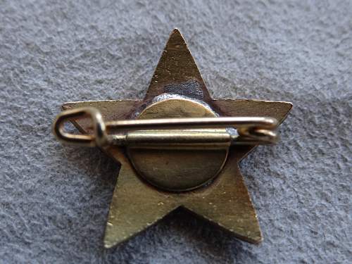 Estonian manufactured badge.