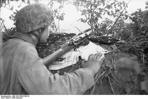 Unusual M38 helmet cover; US Frogskin?