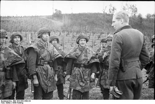 M31 Zeltbahn in use (period photos)