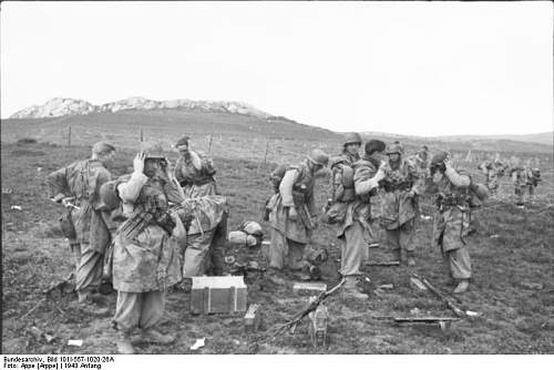 M31 Zeltbahn in use (period photos)