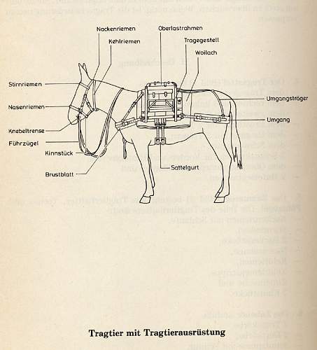 Tragsattel 23