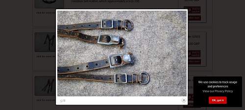 WW2 German Y straps?