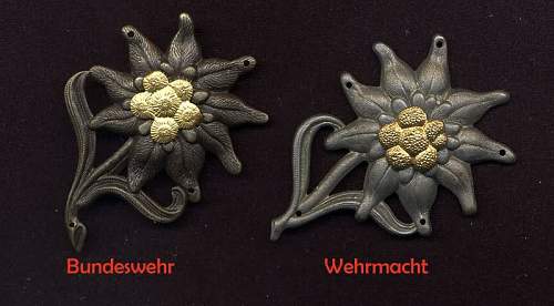Two edelweiss badge