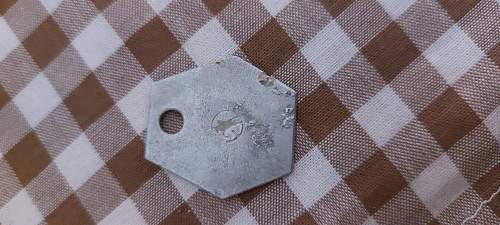 What is this ID disk used for? 24. pz div 168