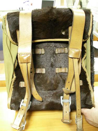 &quot;Affe&quot; Back Pack