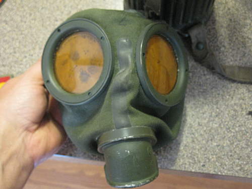 Gas mask and case