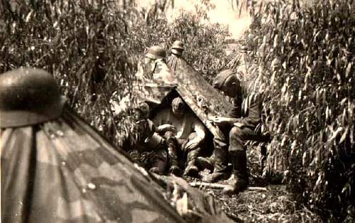 M31 Zeltbahn in use (period photos)