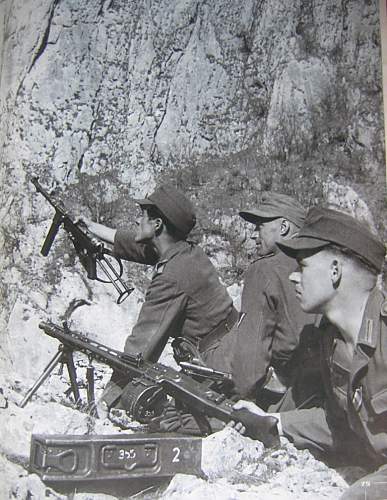 MG42 Ammo tin with Israel markings?
