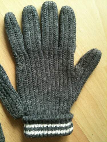 Gloves WH or DDR Volksarmee?