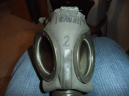 Wonderful Gasmask or a FAKE?