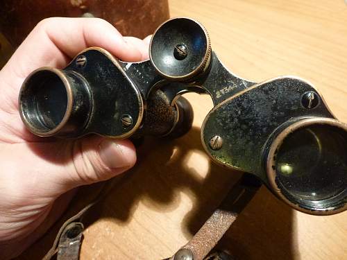 My German Dienstglas Binoculars, any thoughts?