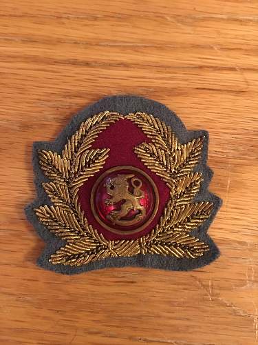 Finnish cap badge - what do I have?