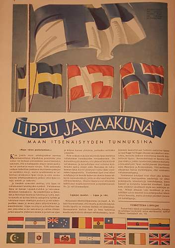 FINLAND'S FIRST OFFICIAL  STATE FLAG 1917-1918! The Red &quot;White&quot; Flag