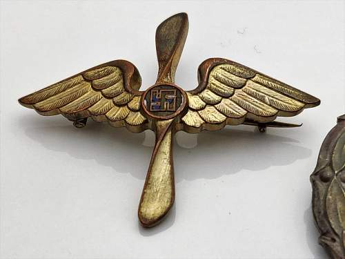 Is this an Finnish airforce badge?