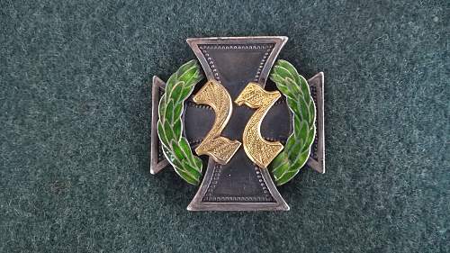 My Jaeger Battalion 27 badge