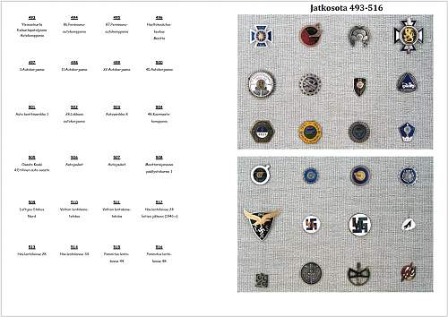 Winter- and Continuation War 885 Brothers-In-Arms Badges pic collection.