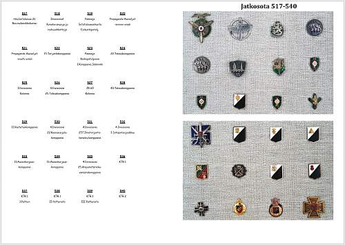 Winter- and Continuation War 885 Brothers-In-Arms Badges pic collection.