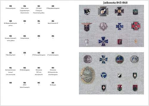 Winter- and Continuation War 885 Brothers-In-Arms Badges pic collection.