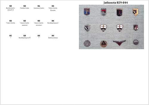 Winter- and Continuation War 885 Brothers-In-Arms Badges pic collection.