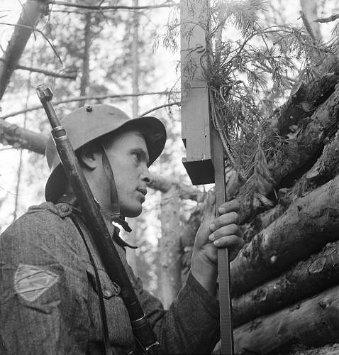 Finnish Armoured Division Sleeve Insignia